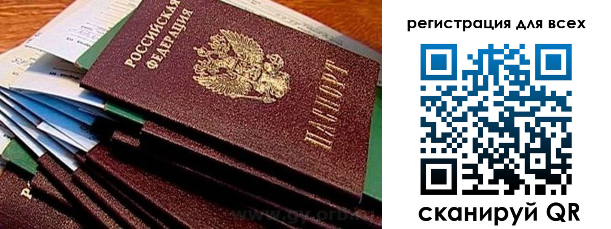 прописка для работы в Волоколамске
